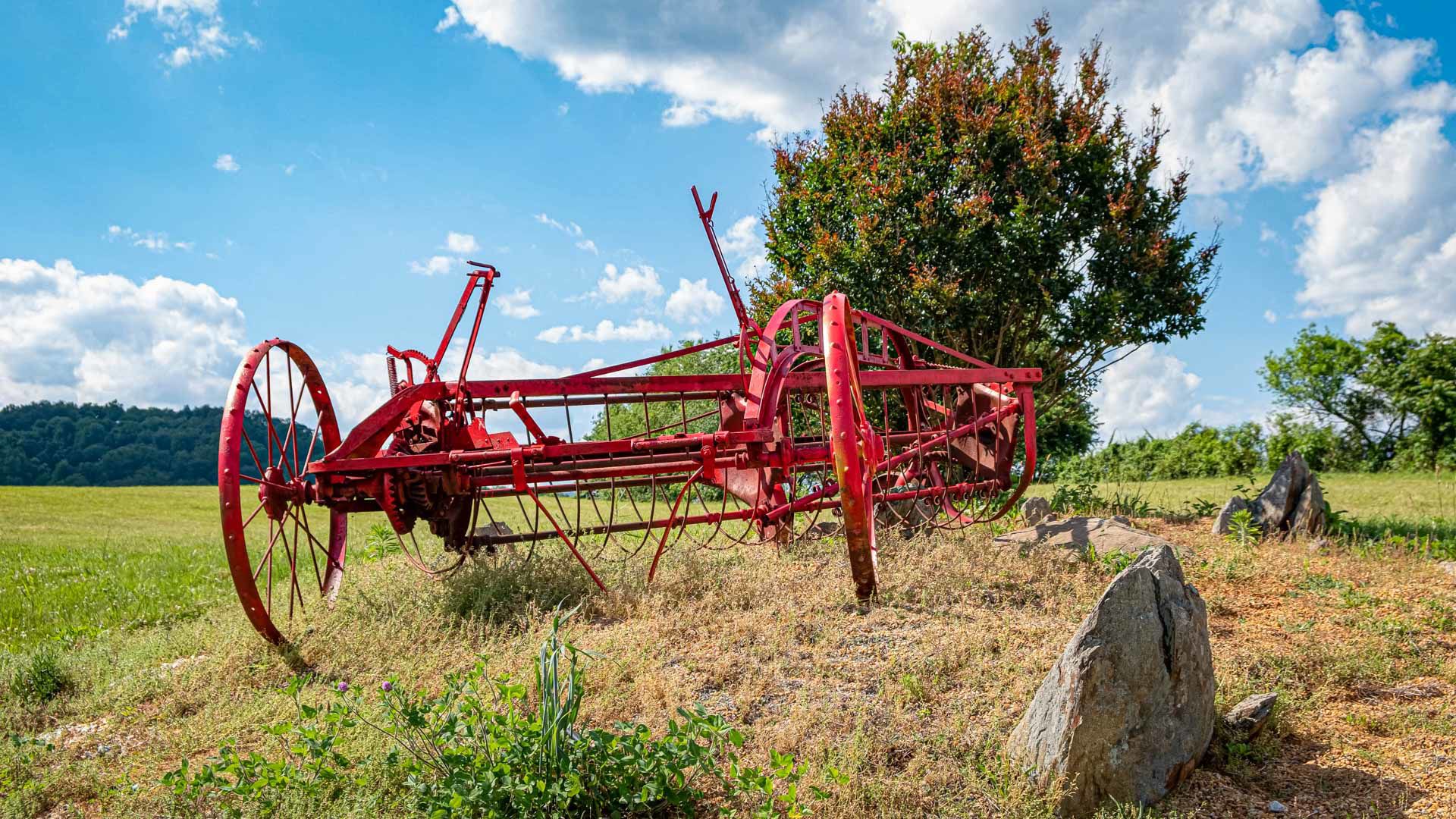 bale1-story.jpg